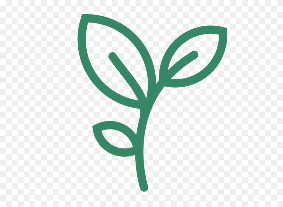 Sunday School Fbc Rosemount, Green, Leaf, Plant Png Image