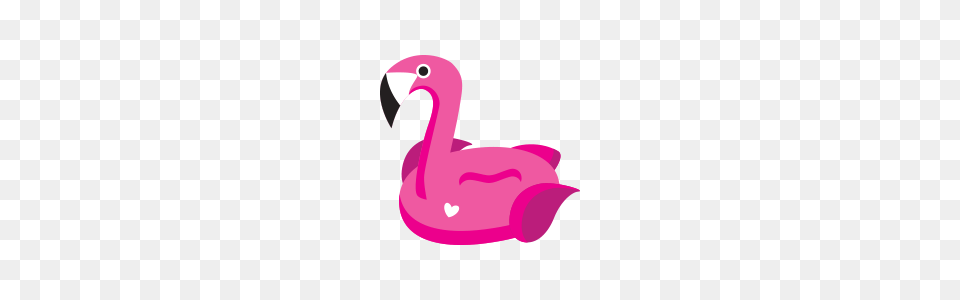 Sundaze Floats, Animal, Bird, Flamingo, Beak Free Png
