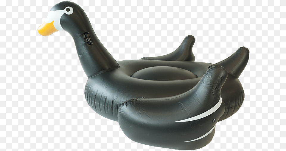 Sunfloats Inflatable Black Swan Pool Floats Inflatable Png Image