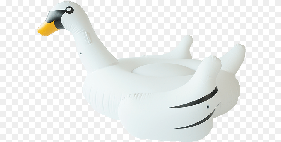 Sunfloats Inflatable White Swan Pool Floats, Animal, Bird, Goose, Waterfowl Free Png