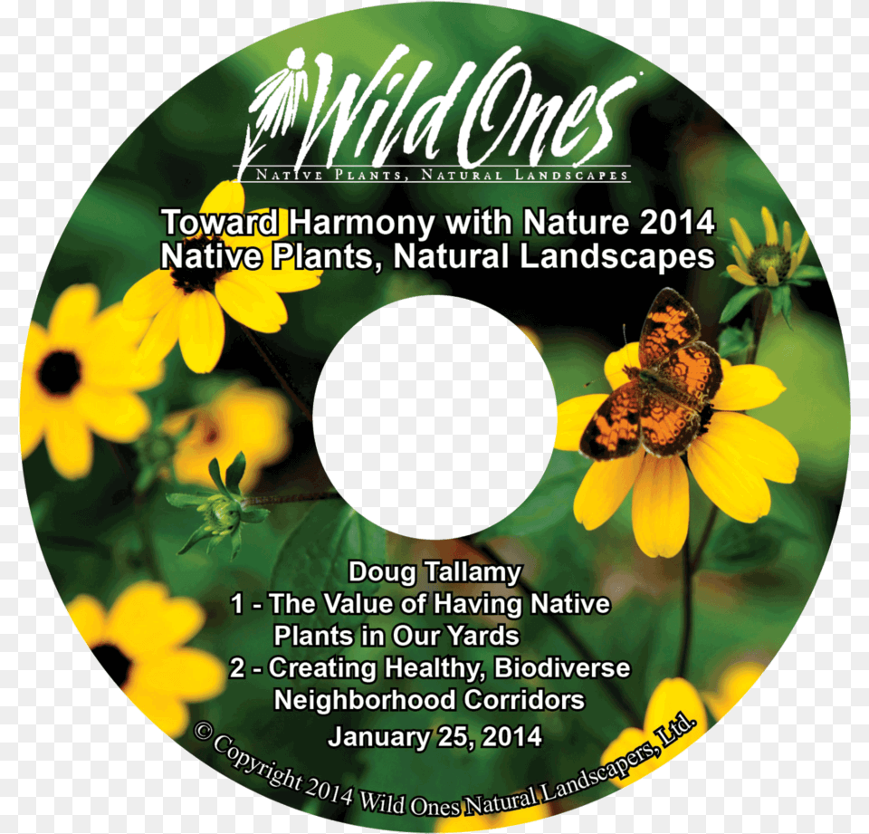 Sunflower, Disk, Dvd, Animal, Bee Free Png