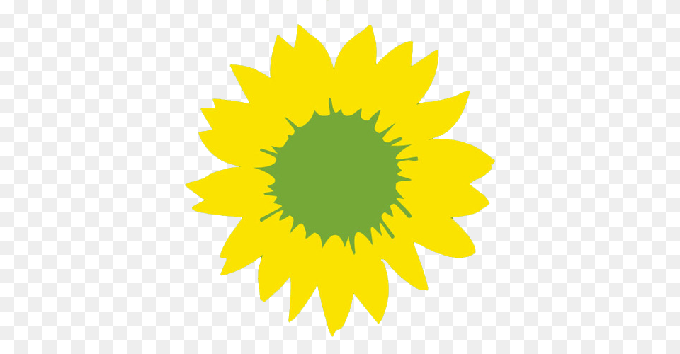Sunflower, Flower, Plant Png Image