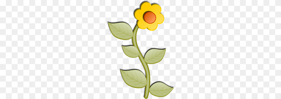 Sunflower Plant, Daisy, Flower, Petal Free Png Download