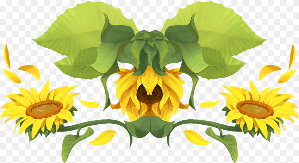 Sunflower, Flower, Plant Free Png