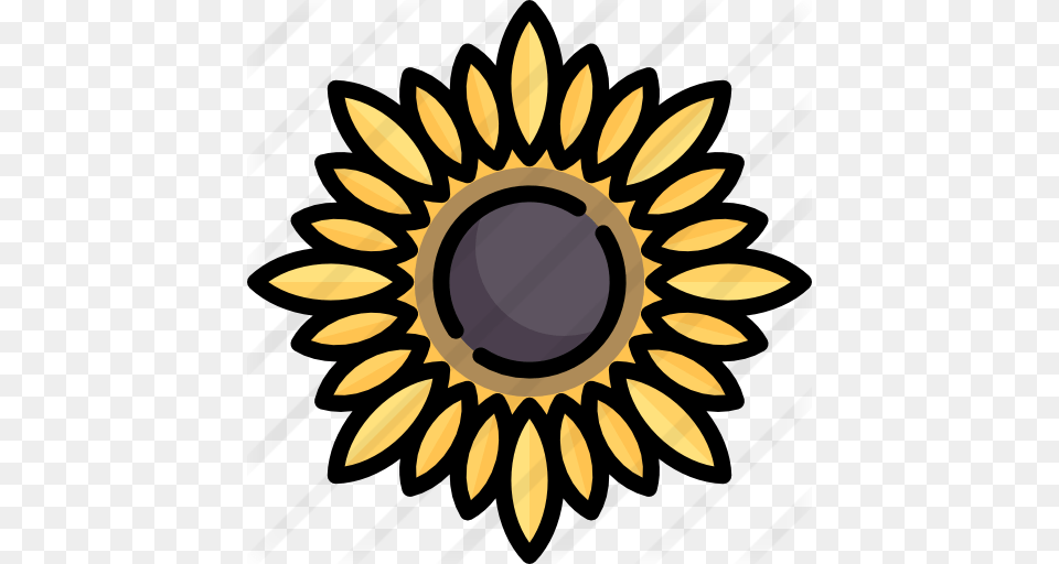Sunflower, Flower, Plant, Astronomy, Moon Free Transparent Png