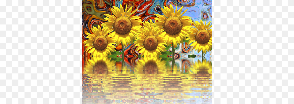 Sunflower Flower, Plant, Art, Painting Png Image