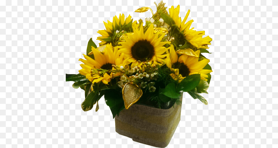 Sunflower, Flower, Flower Arrangement, Flower Bouquet, Plant Free Png