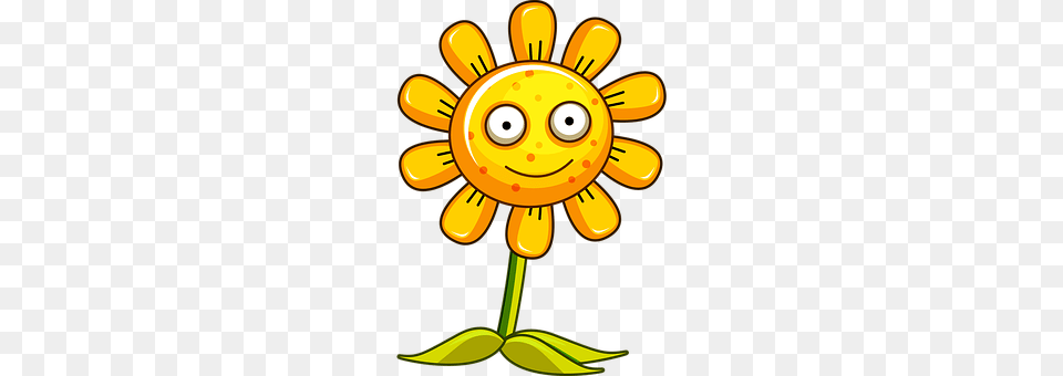 Sunflower Daisy, Flower, Plant, Nature Free Transparent Png