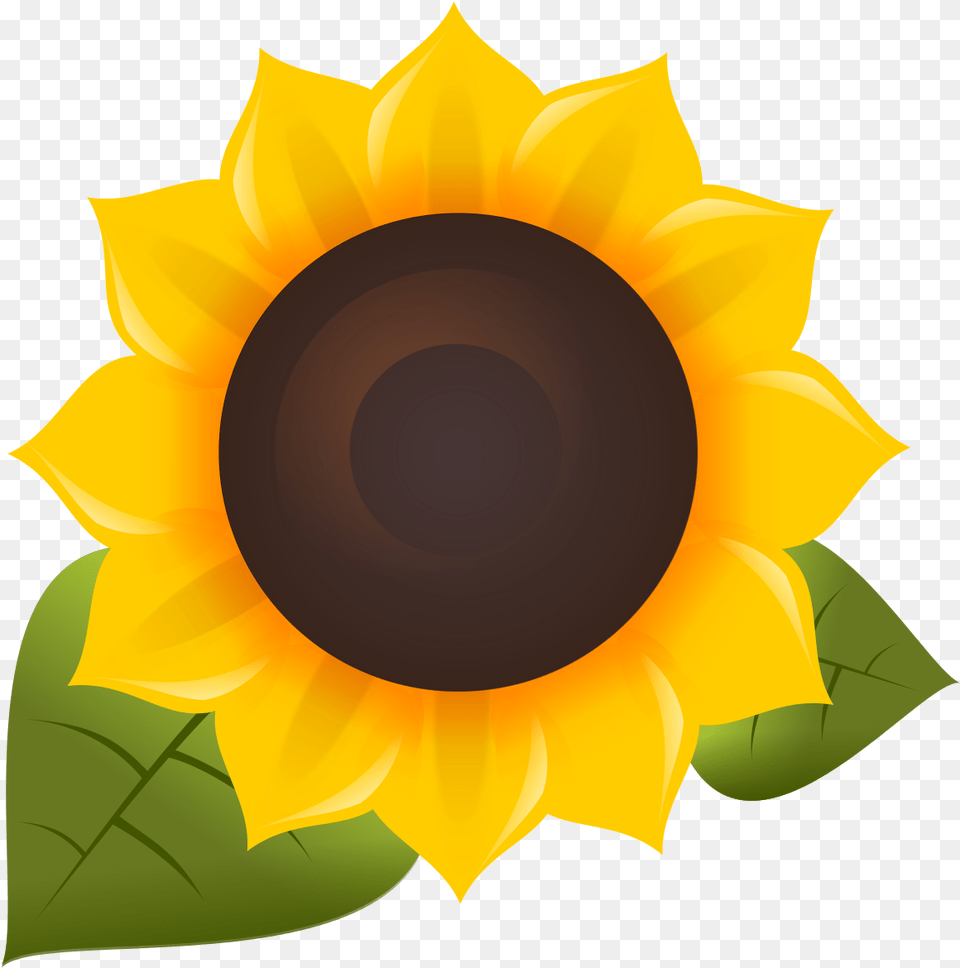 Sunflower, Flower, Plant, Person Png