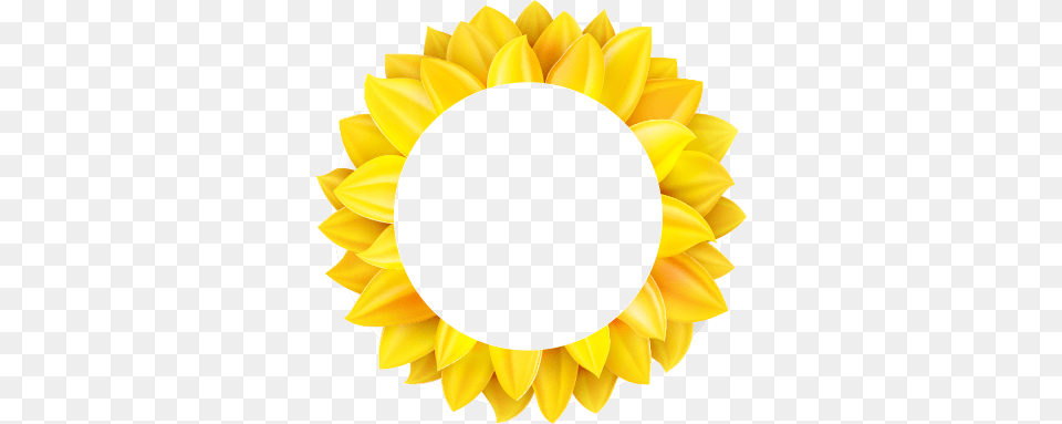 Sunflower, Dahlia, Flower, Petal, Plant Png Image