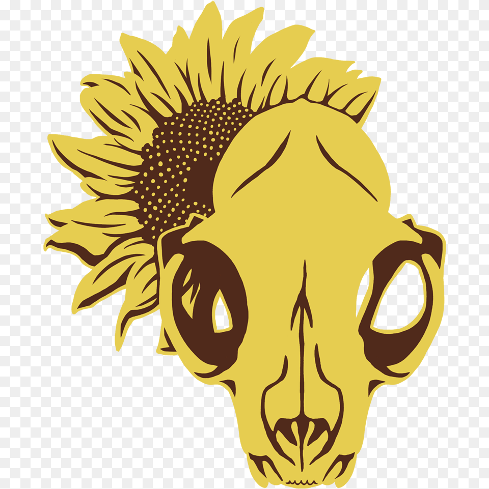 Sunflower, Flower, Plant, Person, Face Free Png