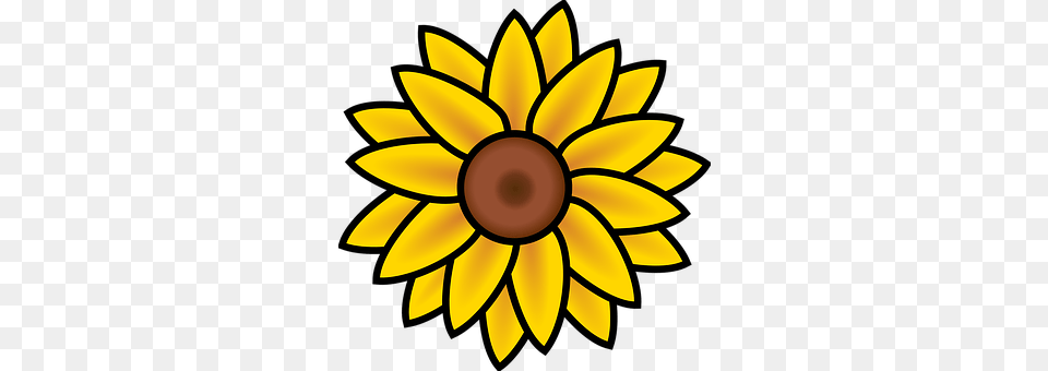 Sunflower Daisy, Flower, Plant, Chandelier Free Transparent Png