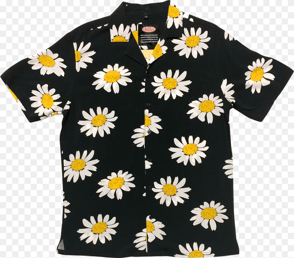 Sunflower, Clothing, Daisy, Flower, Plant Free Png