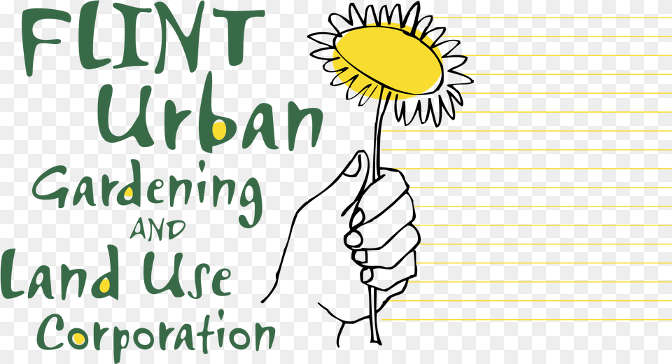 Sunflower, Text Png Image