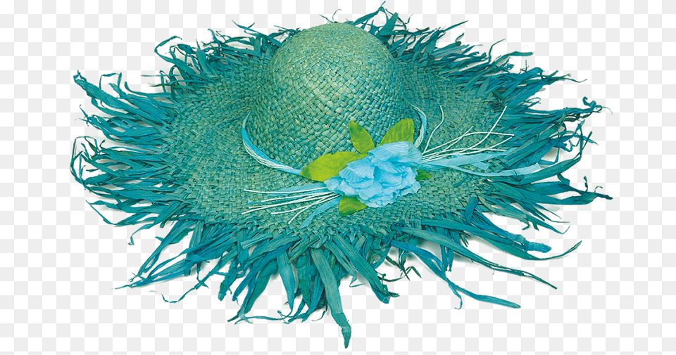 Sunflower, Clothing, Hat, Animal, Sea Life Free Png