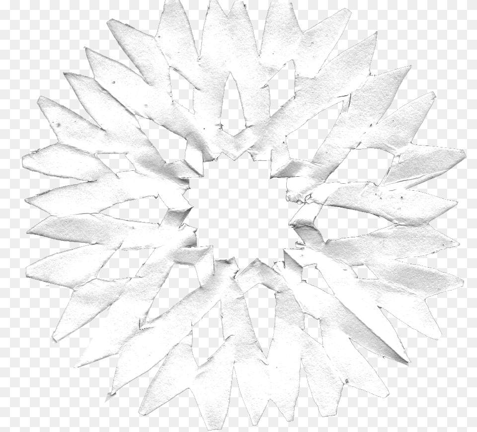 Sunflower, Plant, Daisy, Flower, Leaf Free Png Download