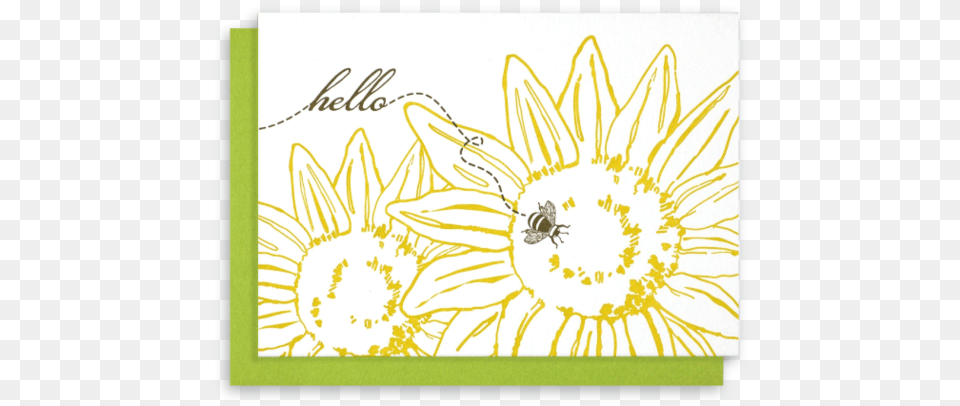 Sunflower, Plant, Flower, Art, Pattern Free Png