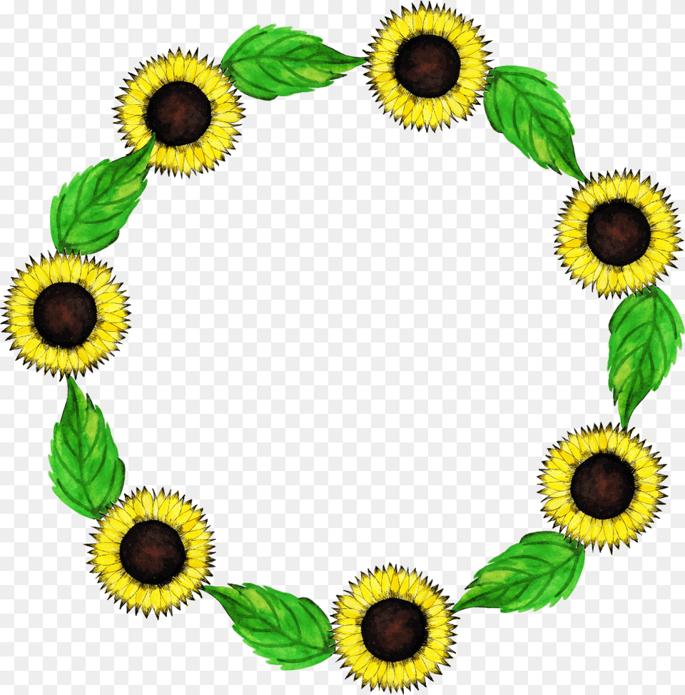 Sunflower, Flower, Plant Png