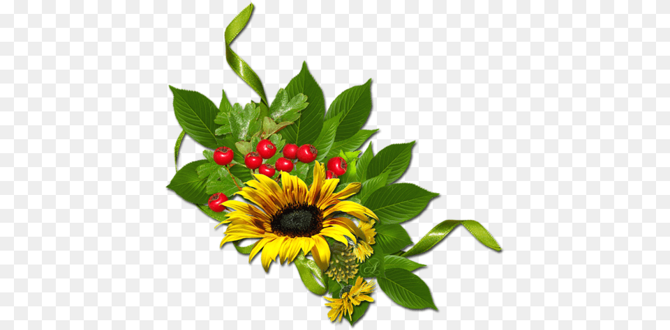 Sunflower, Flower, Flower Arrangement, Flower Bouquet, Plant Png Image