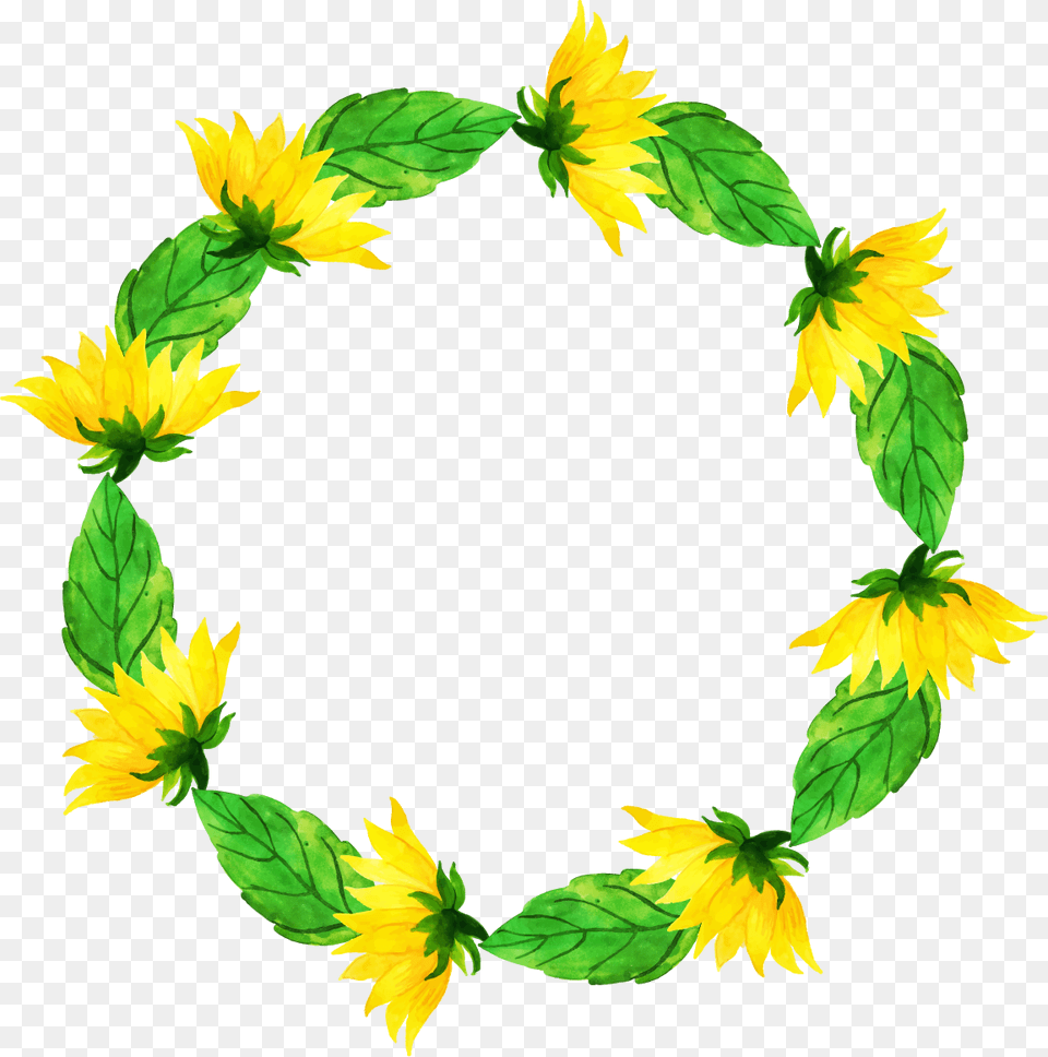 Sunflower, Flower, Leaf, Plant Free Transparent Png
