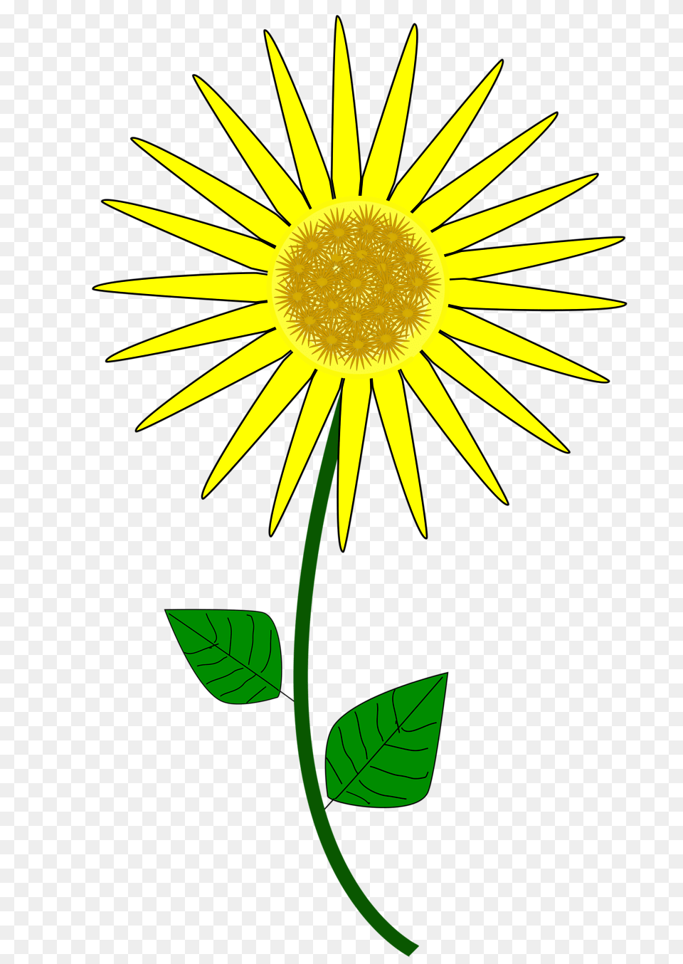 Sunflower August Clipart Explore Pictures, Daisy, Flower, Plant Free Png