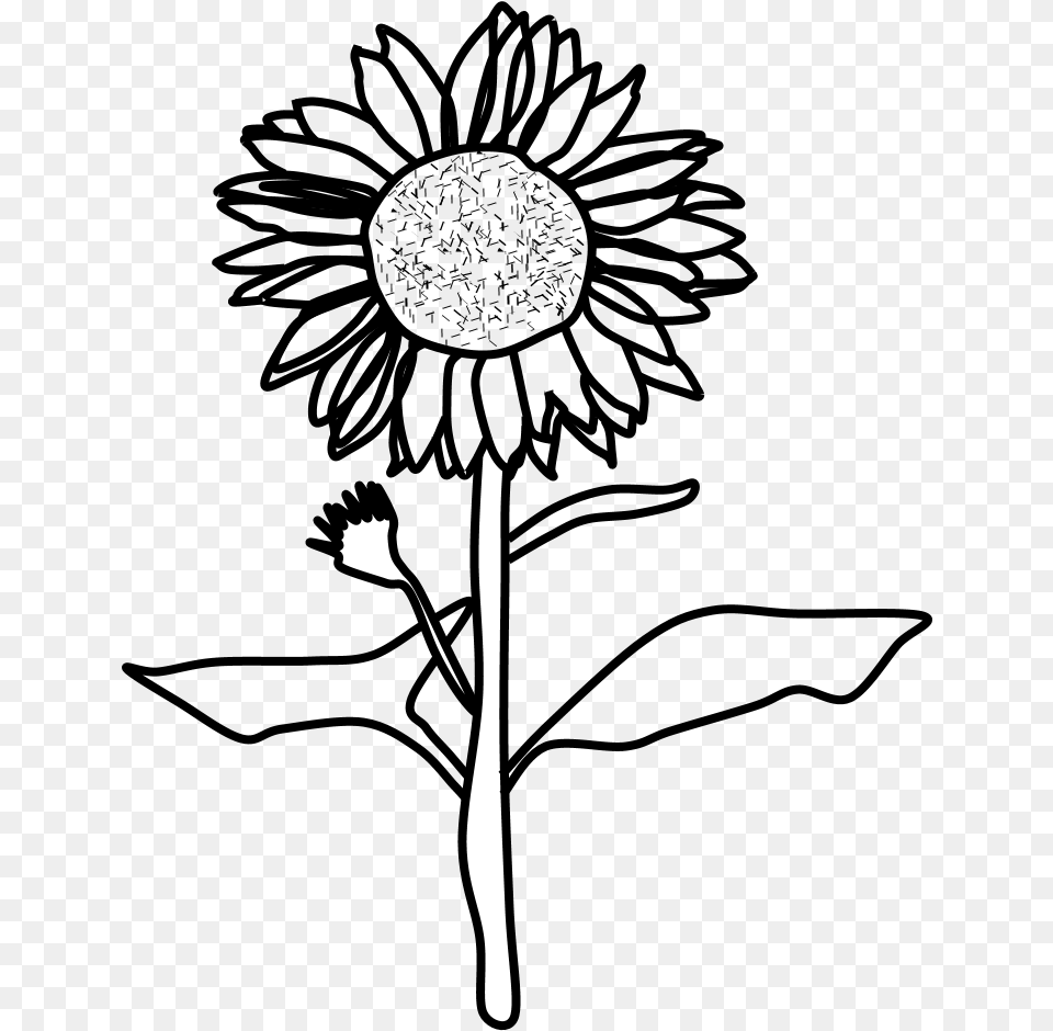 Sunflower Black And White Sunflower Black And White, Silhouette, Cutlery, Fork Free Transparent Png