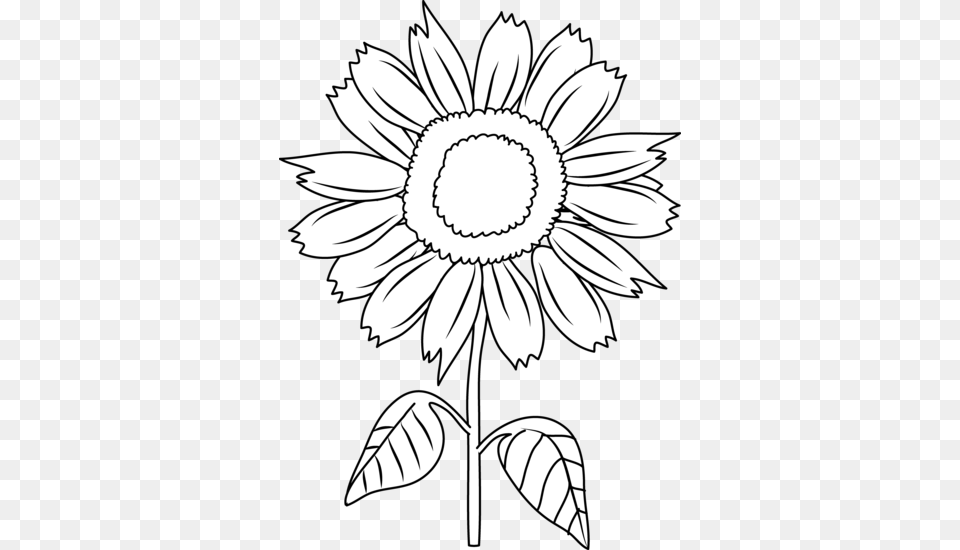 Sunflower Black And White Sunflower Clipart Black And Sunflower Black And White Clipart, Daisy, Flower, Plant, Art Png Image