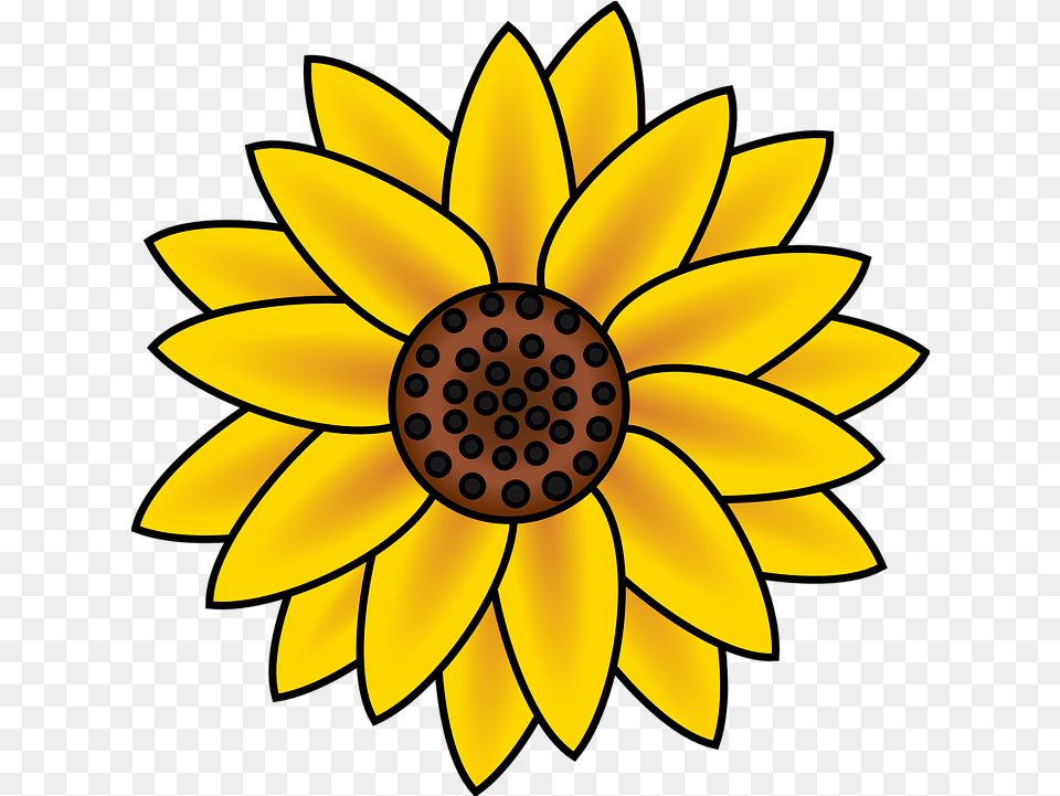 Sunflower Blossom Petals Vector Graphic On Pixabay Easy Cute Sunflower Drawing, Daisy, Flower, Plant, Dahlia Free Png Download