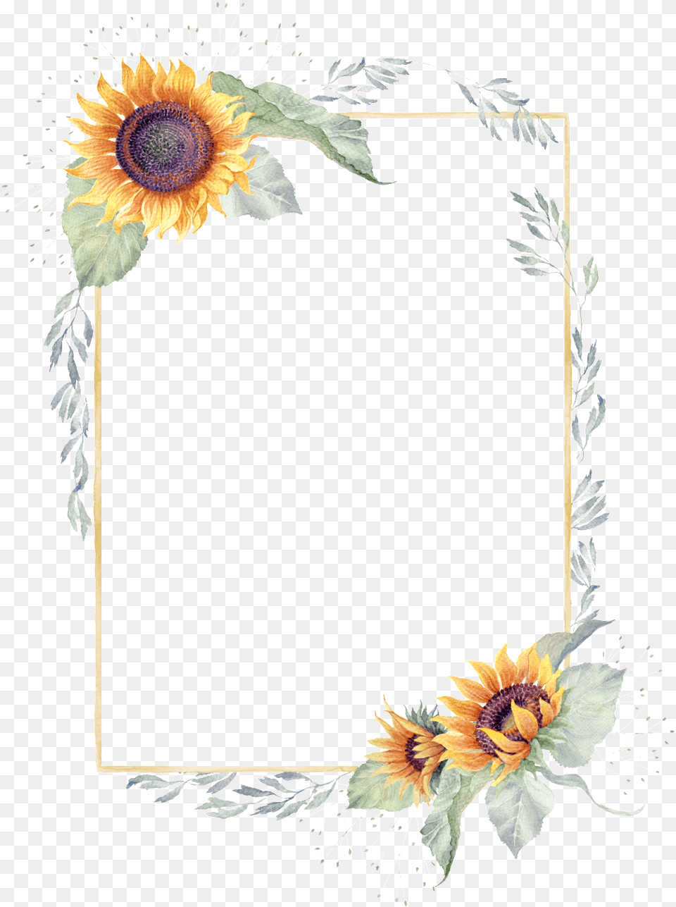 Sunflower Border, Flower, Plant Free Png