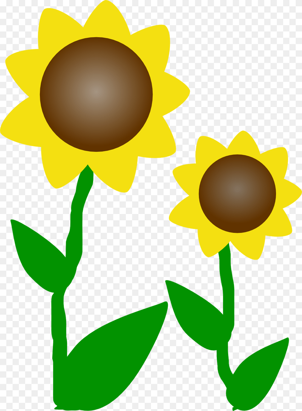 Sunflower Border, Flower, Plant, Daisy, Petal Png Image