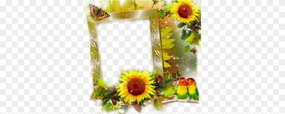 Sunflower Border Autumn Sunflower Frame Frames Sunflowers Art, Collage, Plant, Flower Free Transparent Png