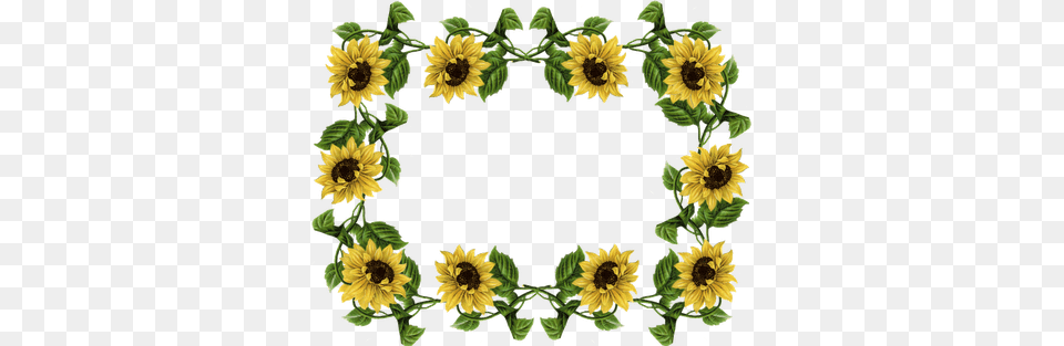 Sunflower Border Clip Art Fall Sunflower Clip Art Border, Flower, Plant, Pattern Free Transparent Png