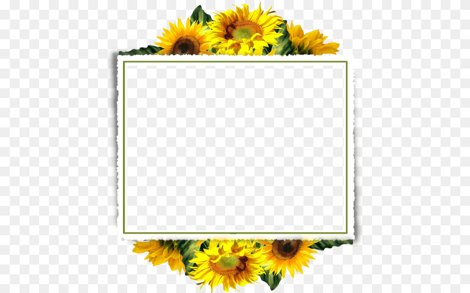 Sunflower Border Design Sunflower Frame Border Transparent, Flower, Plant, Blackboard Free Png Download
