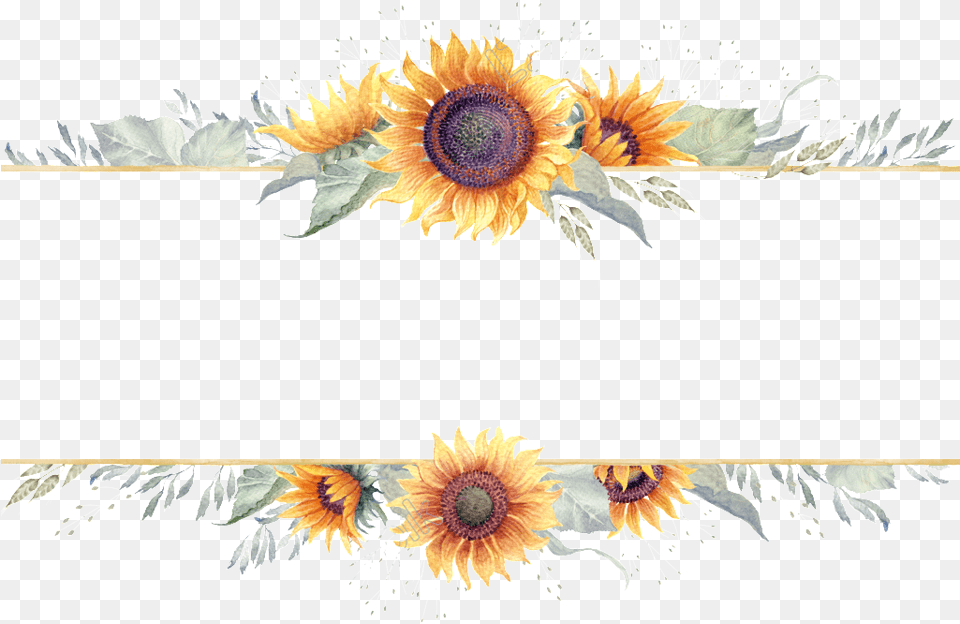 Sunflower Border Transparent Transparent Sunflower Border Clipart, Plant, Flower, Graphics, Art Png