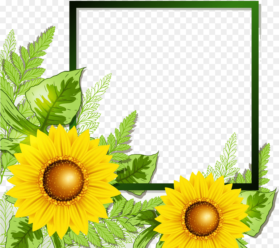 Sunflower Border Yellow Flower Borders And Frames, Plant Png
