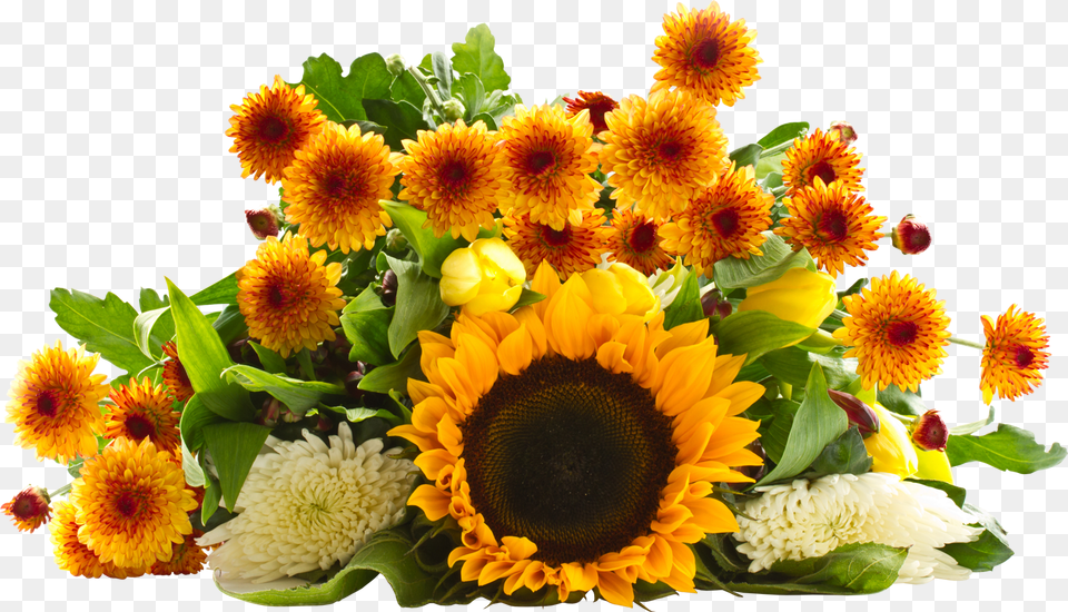 Sunflower Bouquet Soneczniki, Flower, Flower Arrangement, Flower Bouquet, Plant Free Png Download