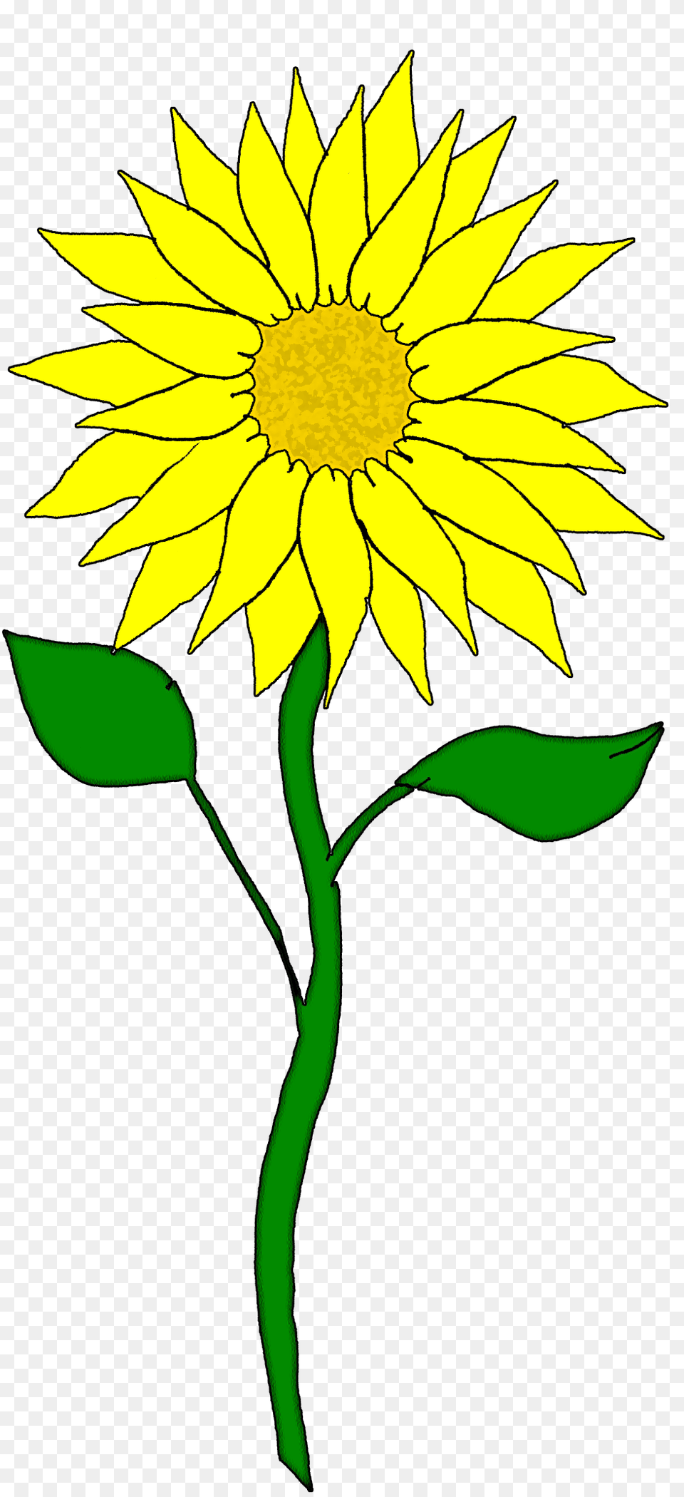 Sunflower Button Cliparts, Daisy, Flower, Plant Png Image