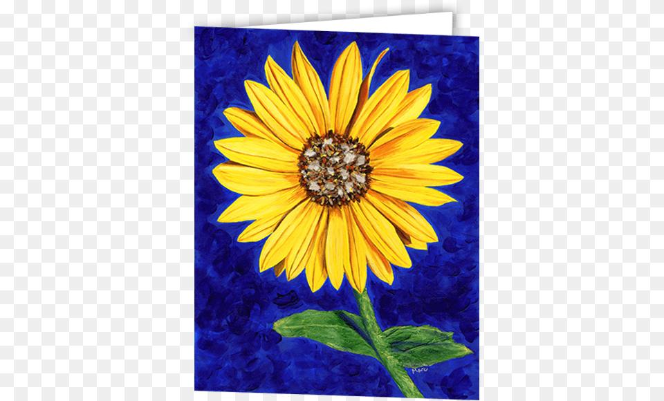 Sunflower Card African Daisy, Flower, Plant Free Transparent Png
