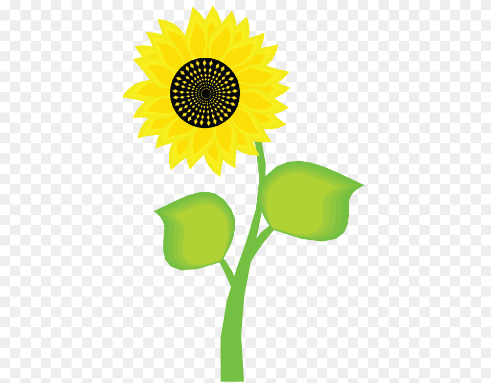 Sunflower Cartoon, Flower, Plant Png