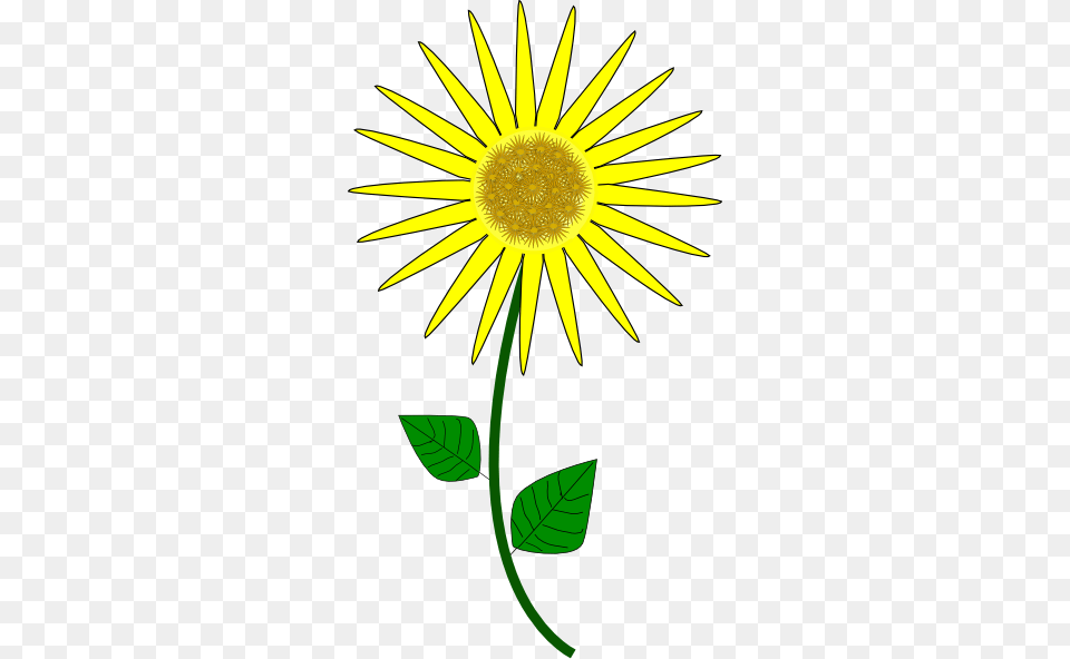 Sunflower Cartoon Clip Art For Web, Daisy, Flower, Plant, Animal Png Image