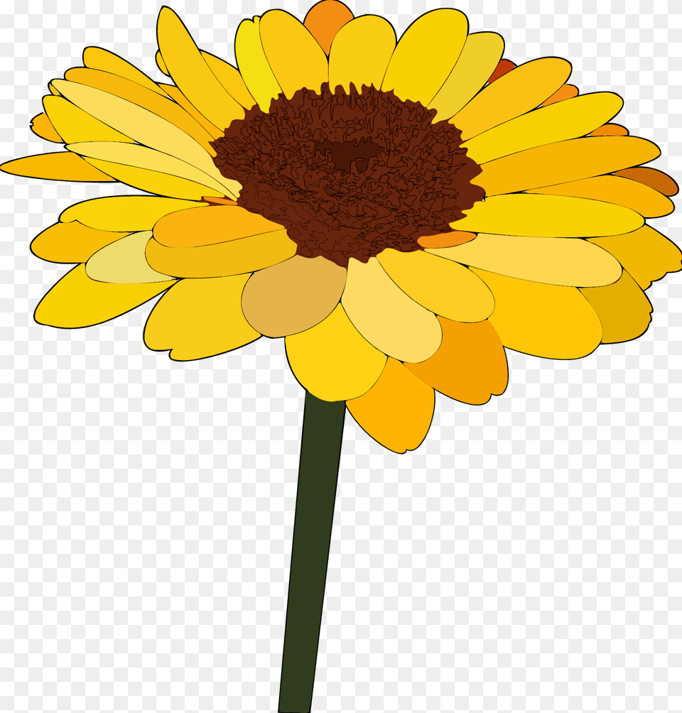 Sunflower Cartoon Drawing Sunflower Cartoon, Daisy, Flower, Plant, Petal Png Image