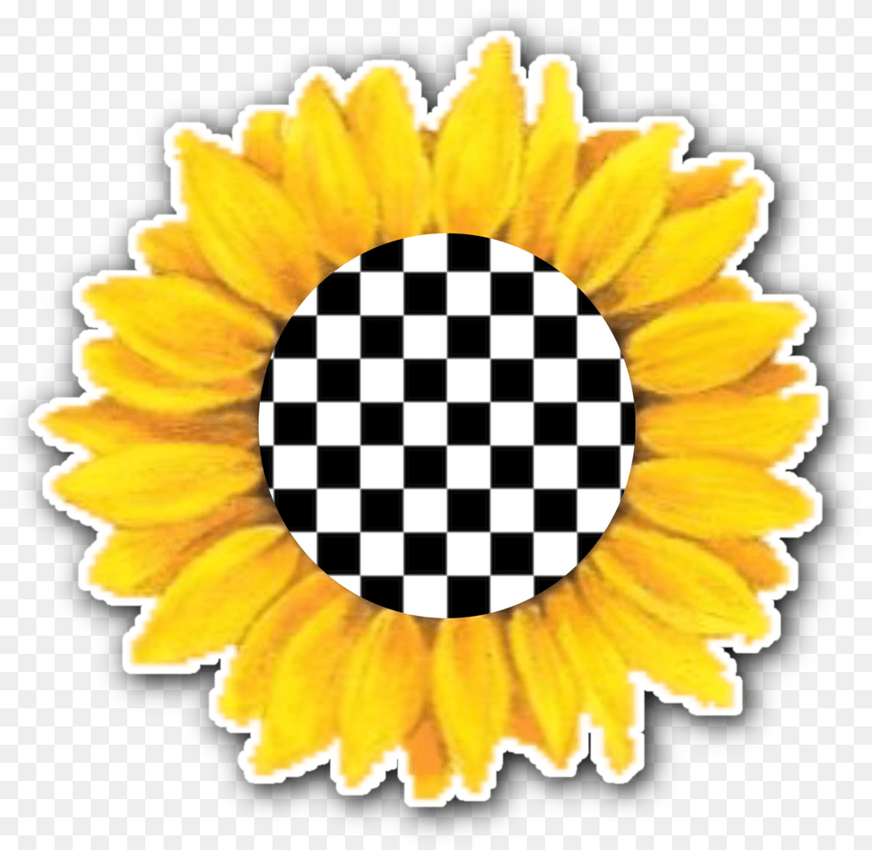 Sunflower Checkers Borsa Per Sedia A Rotelle Free Png Download