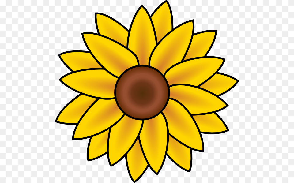 Sunflower Clip Art, Daisy, Flower, Plant, Bonfire Free Png