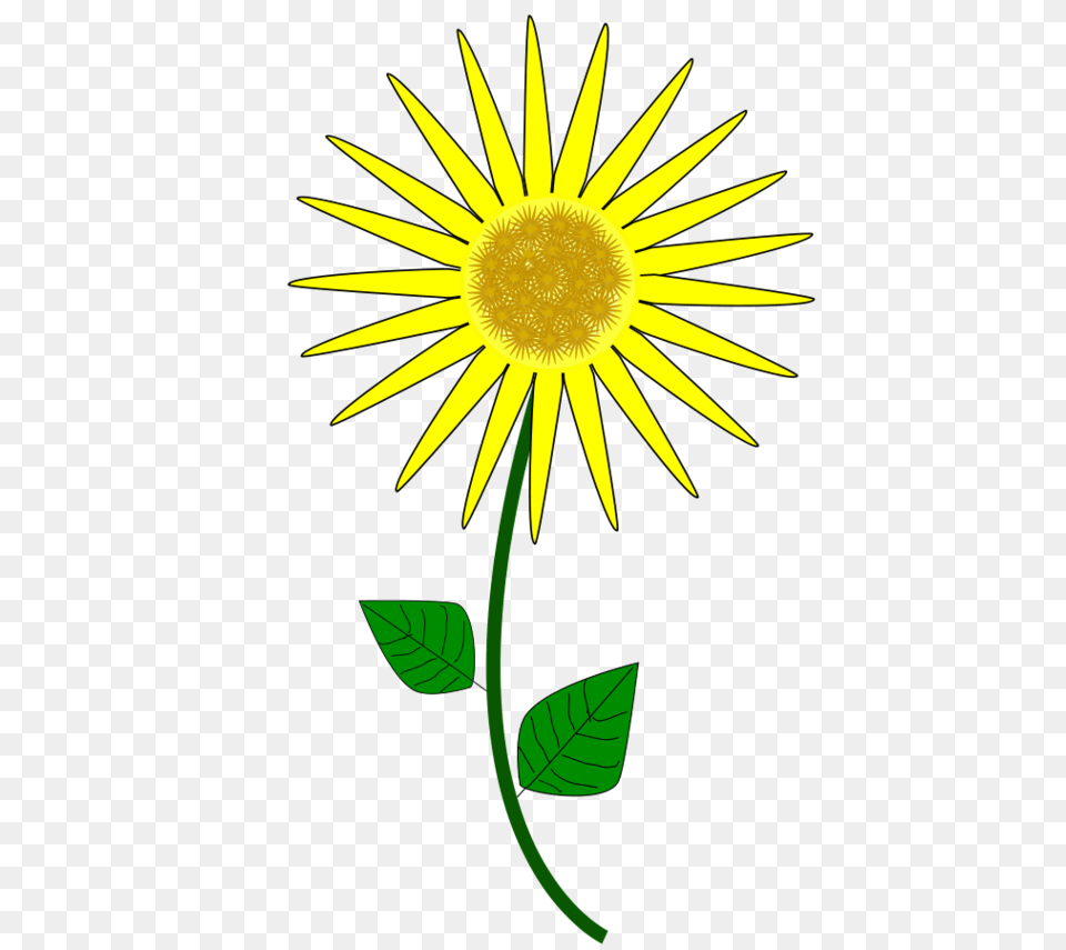 Sunflower Clip Art, Daisy, Flower, Plant Free Png Download