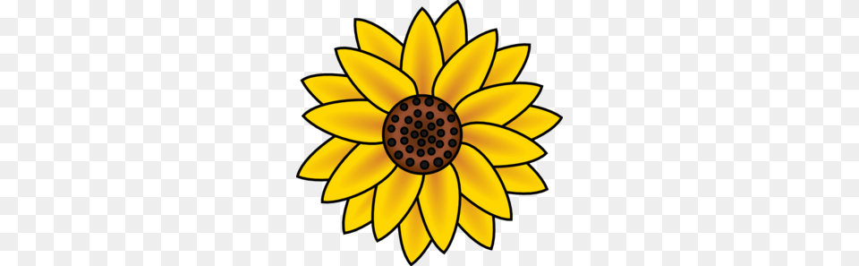 Sunflower Clip Art, Daisy, Flower, Plant, Petal Png Image