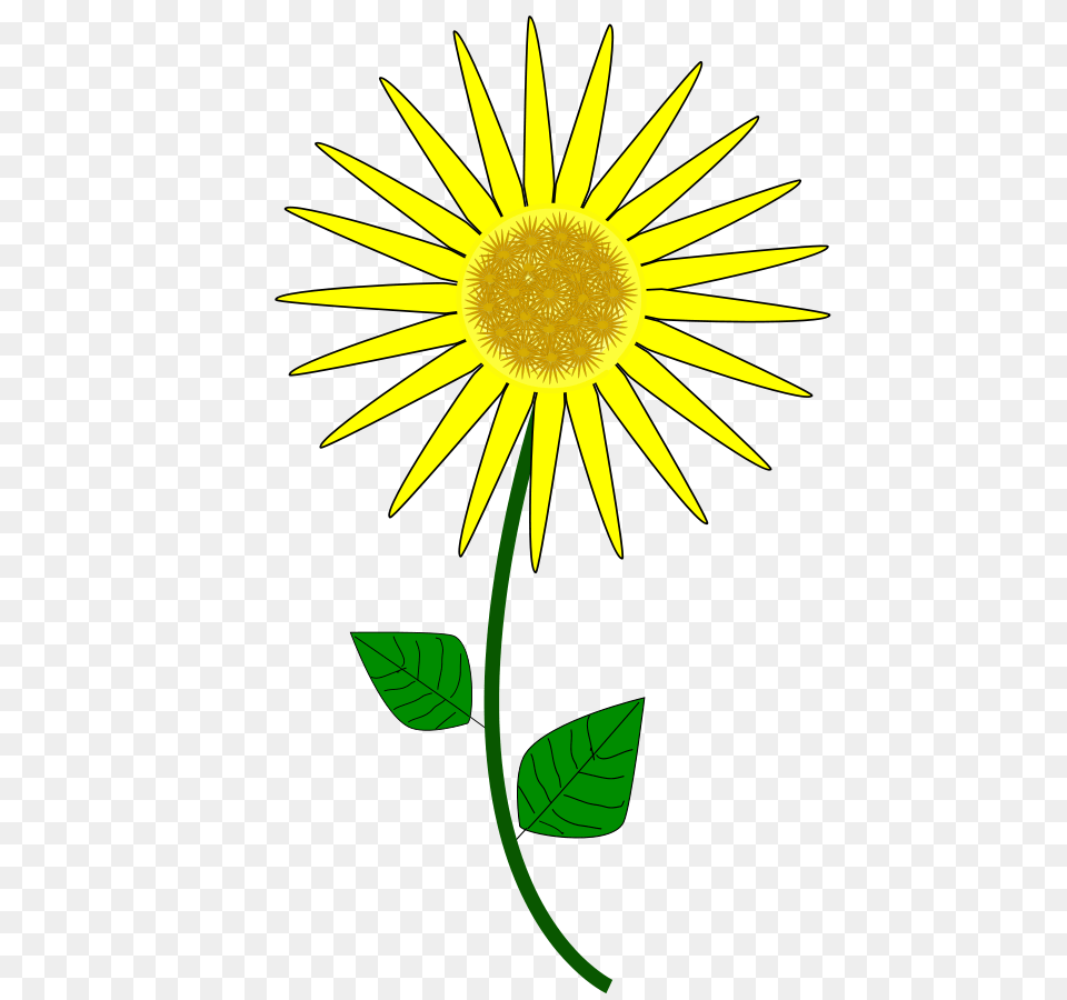 Sunflower Clip Art, Daisy, Flower, Plant Free Png Download