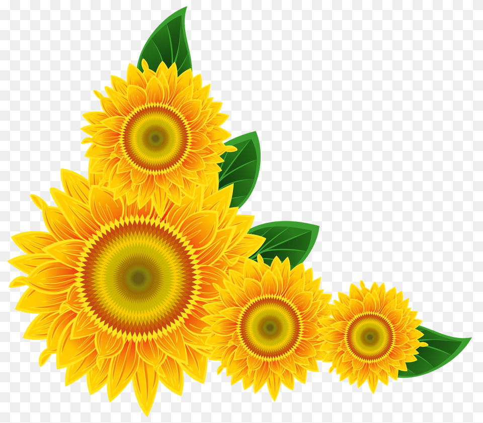 Sunflower Clip Art, Flower, Plant, Chandelier, Lamp Free Png