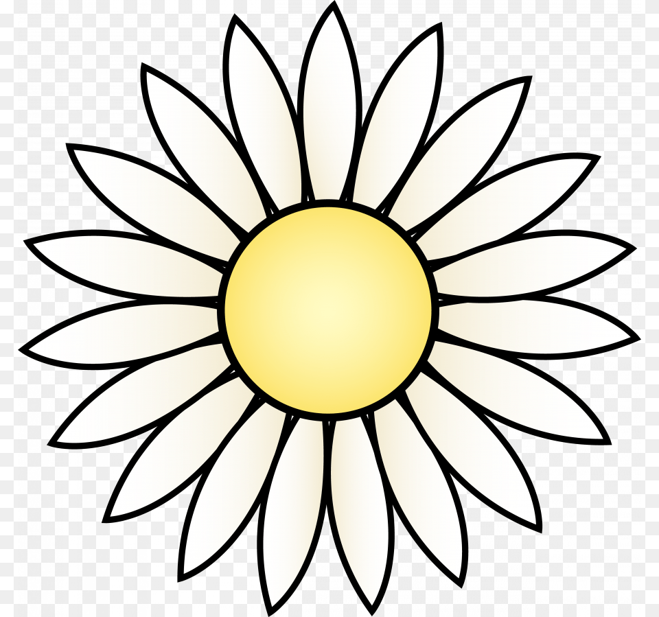 Sunflower Clip Art Black, Daisy, Flower, Plant, Blade Free Png Download