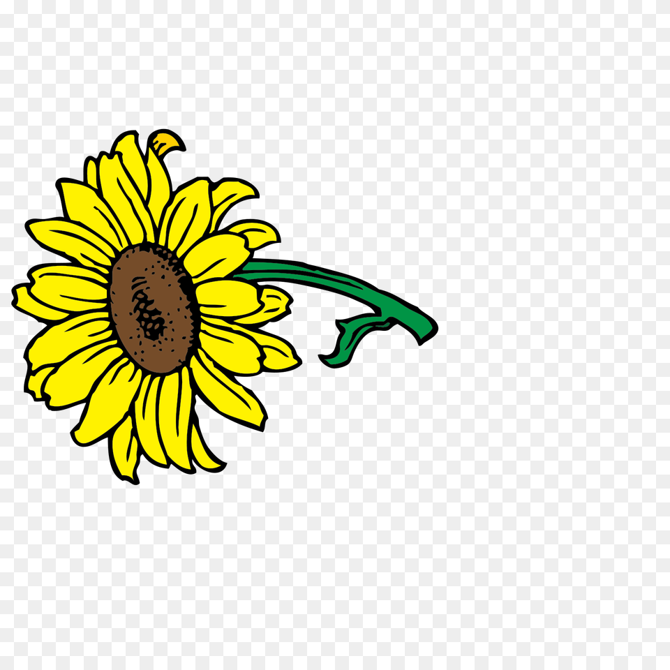 Sunflower Clip Art Clip Art, Daisy, Flower, Plant Png Image