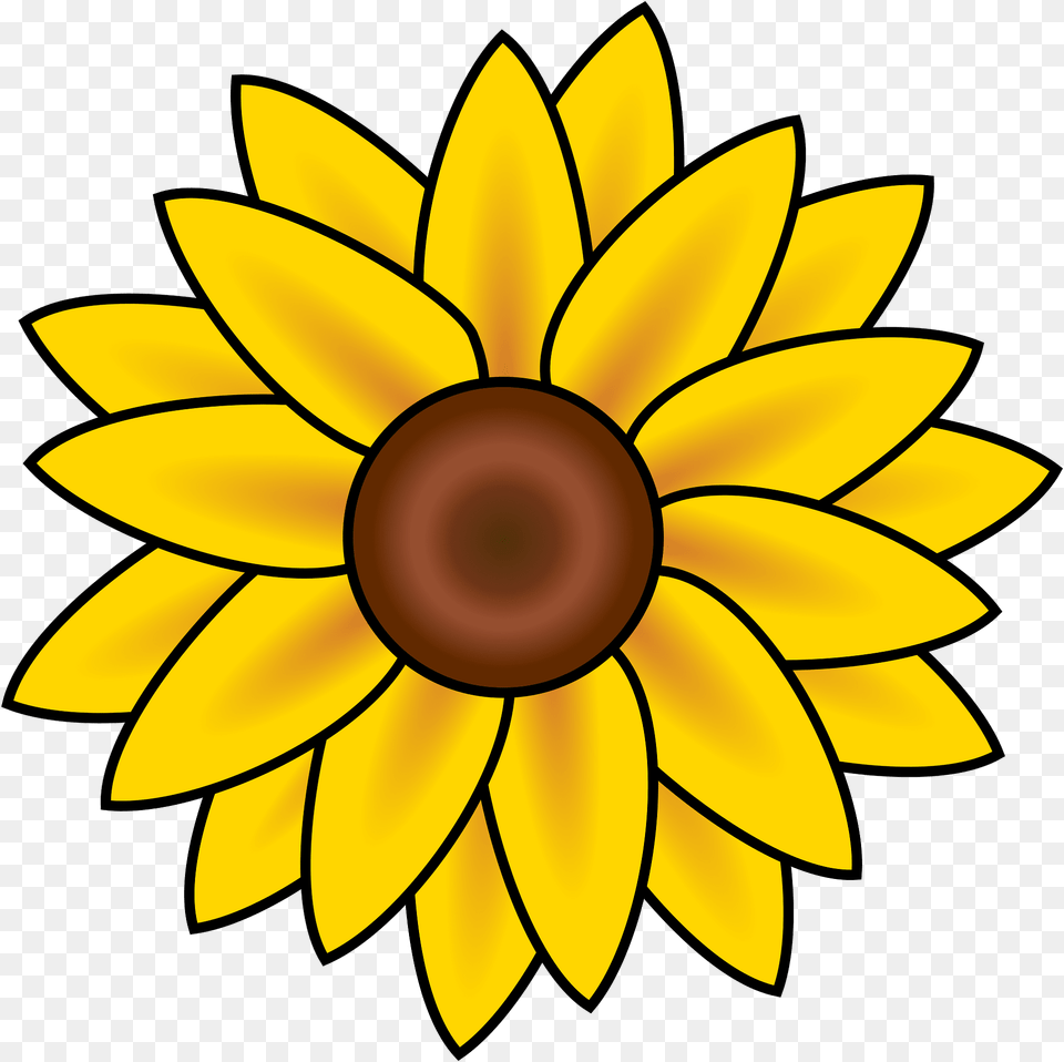 Sunflower Clip Art Clipart, Daisy, Flower, Plant, Bonfire Png Image